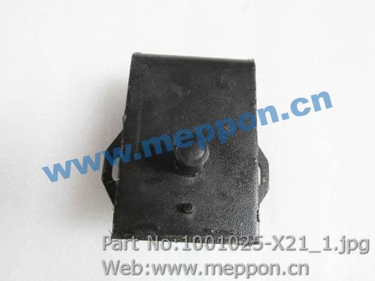 1001025-X21