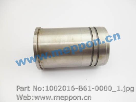 1002016-B61-0000