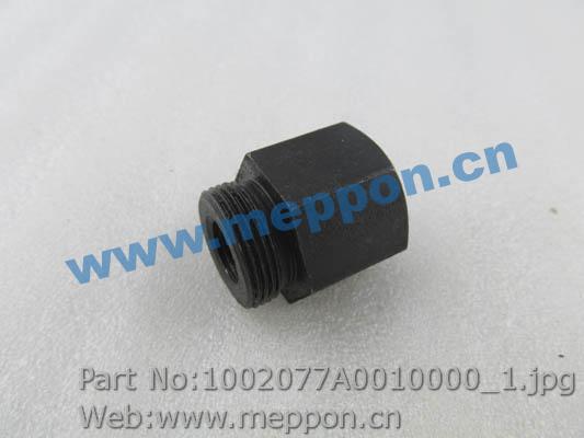 1002077A0010000