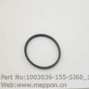 1003036-155-SJ60