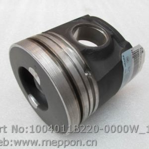 1004011B220-0000W