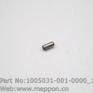 1005031-001-0000