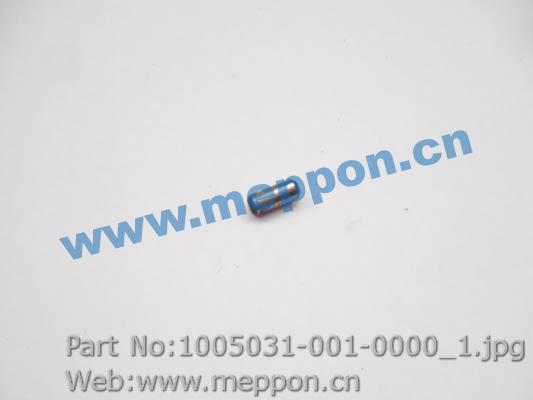 1005031-001-0000