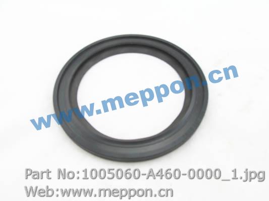 1005060-A460-0000
