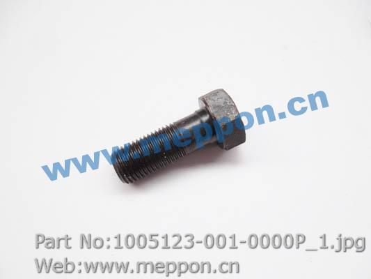 1005123-001-0000P