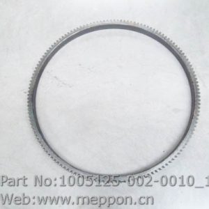 1005125-002-0010