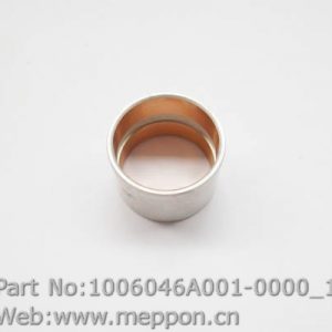 1006046A001-0000