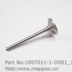1007011-1-D9B1