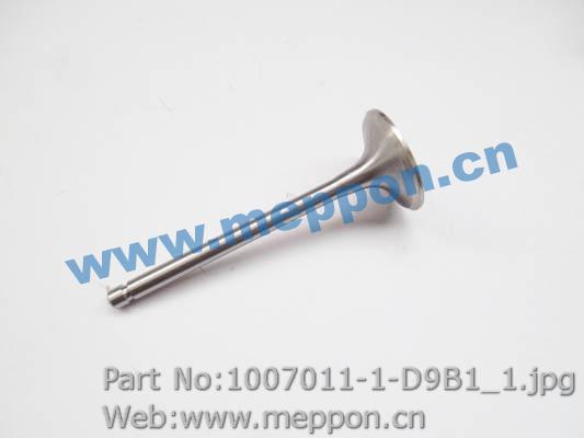 1007011-1-D9B1