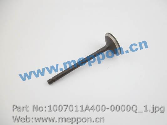 1007011A400-0000Q