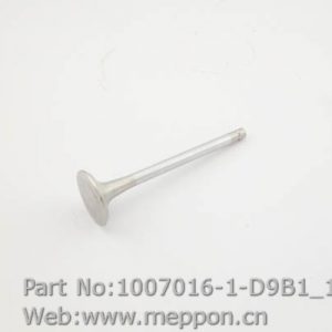 1007016-1-D9B1