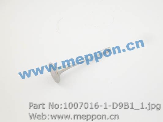 1007016-1-D9B1