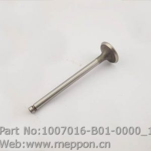 1007016-B01-0000