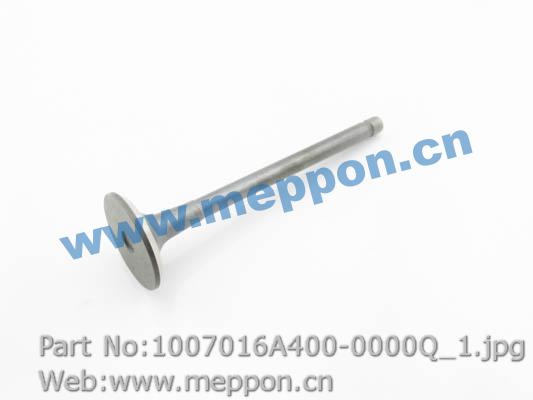 1007016A400-0000Q