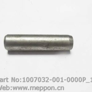 1007032-001-0000P