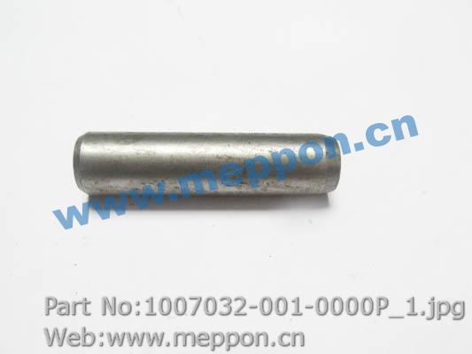 1007032-001-0000P