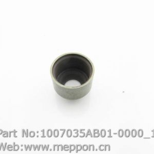 1007035AB01-0000