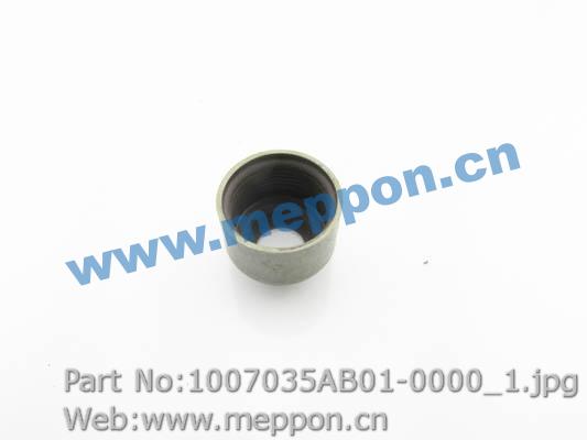 1007035AB01-0000
