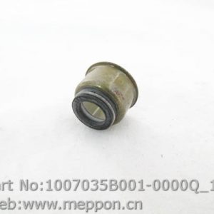1007035B001-0000Q