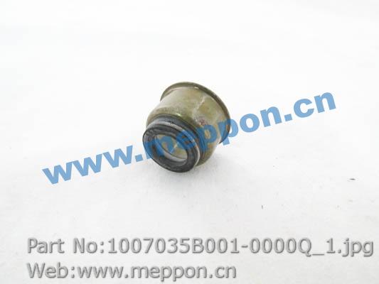 1007035B001-0000Q