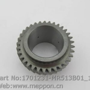 1701231-MR513B01