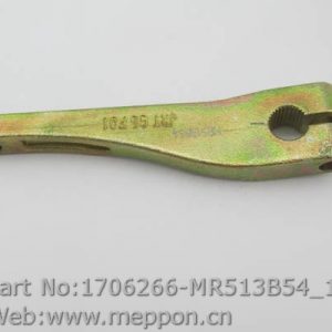 1706266-MR513B54