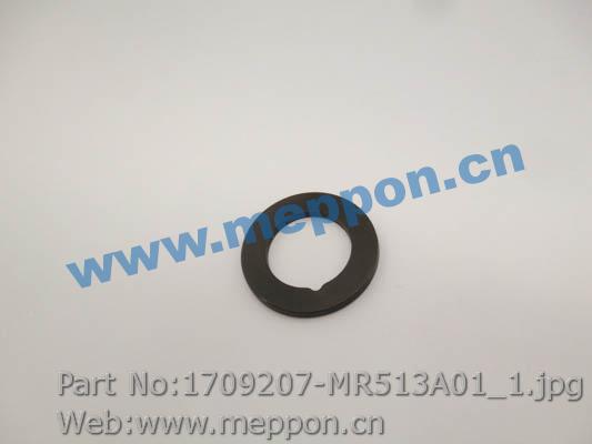1709207-MR513A01