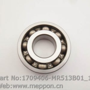 1709406-MR513B01