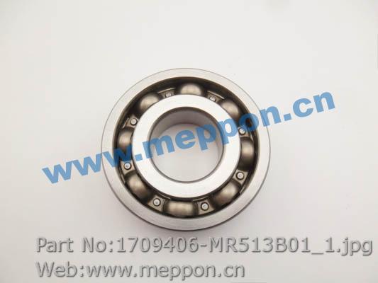 1709406-MR513B01