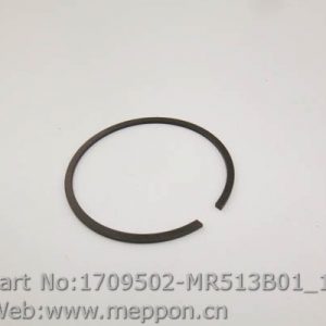 1709502-MR513B01
