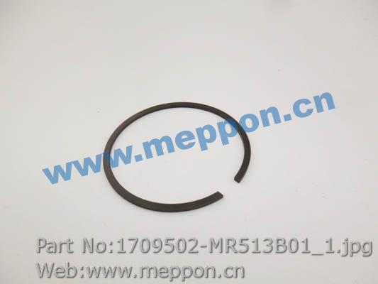 1709502-MR513B01