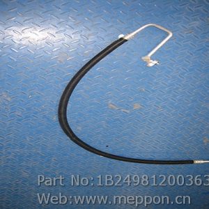 1B24981200363