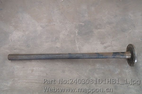 2403081D1HB1