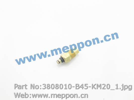 3808010-B45-KM20