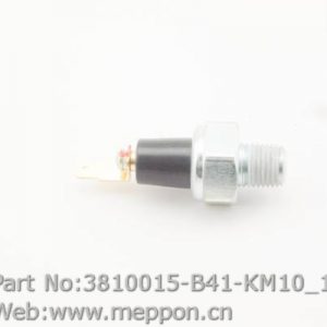3810015-B41-KM10