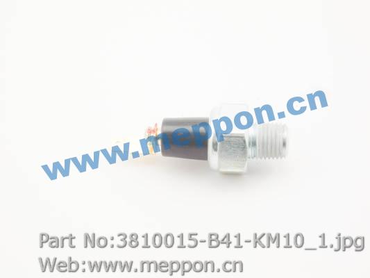 3810015-B41-KM10