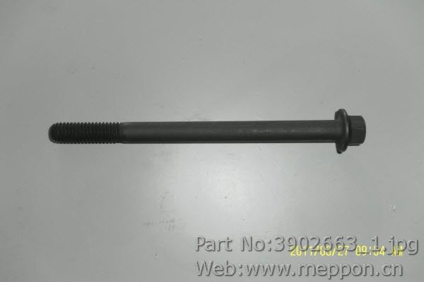 3902663
