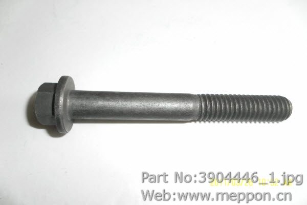 3904446