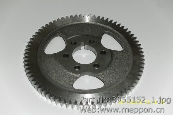 3955152