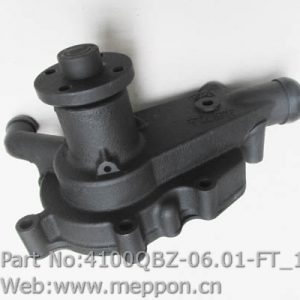 4100QBZ-06.01-FT