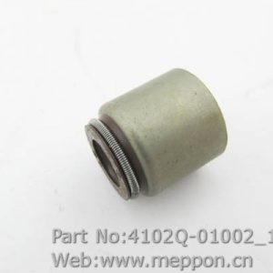 4102Q-01002