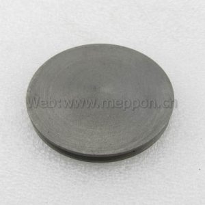 490Q(DI)-01009