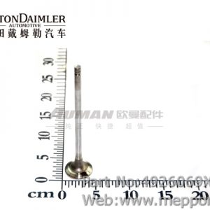 4926069X
