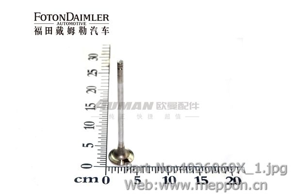 4926069X