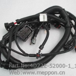 4D22E-52000-1