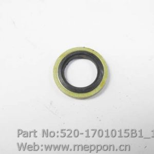 520-1701015B1