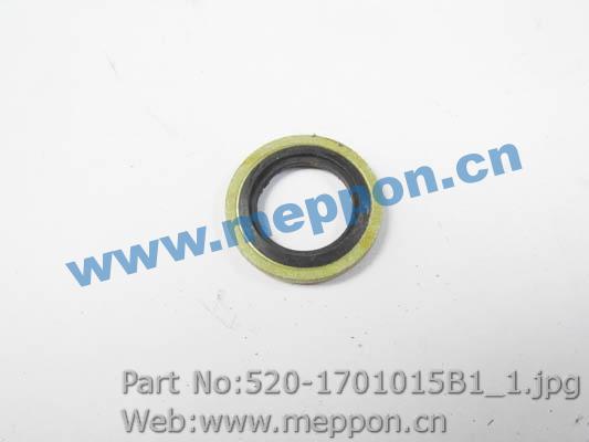 520-1701015B1