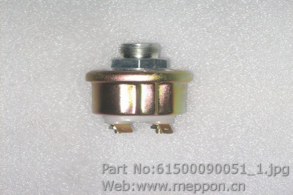 61500090051