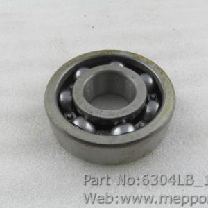 6304LB