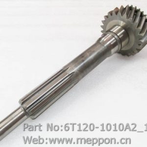 6T120-1010A2